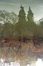 fine_art_photography_central_park_nyc_f_66_18